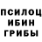 Псилоцибиновые грибы Psilocybine cubensis Shoag sikdar