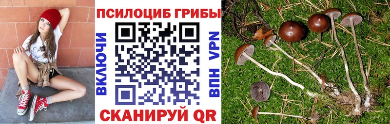 Галлюциногенные грибы GOLDEN TEACHER где найти Реж